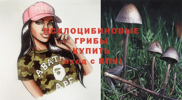 тгк Россошь