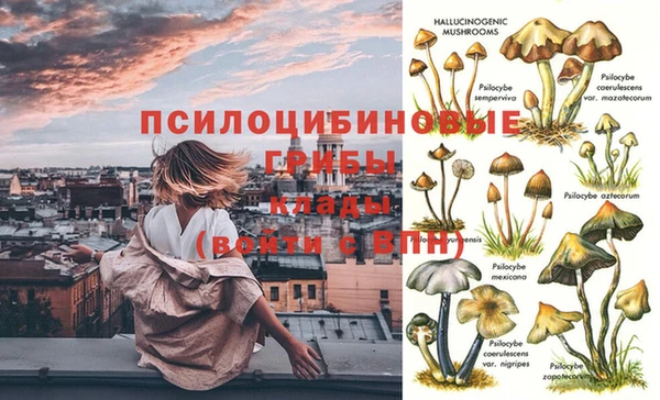 соль ск Ростов