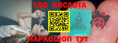 прущие грибы Конаково