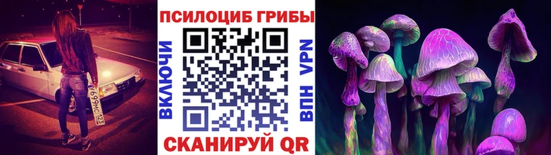 Галлюциногенные грибы Psilocybine cubensis даркнет сайт MEGA зеркало Кизляр