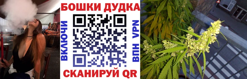 купить   Кизляр  Конопля OG Kush 