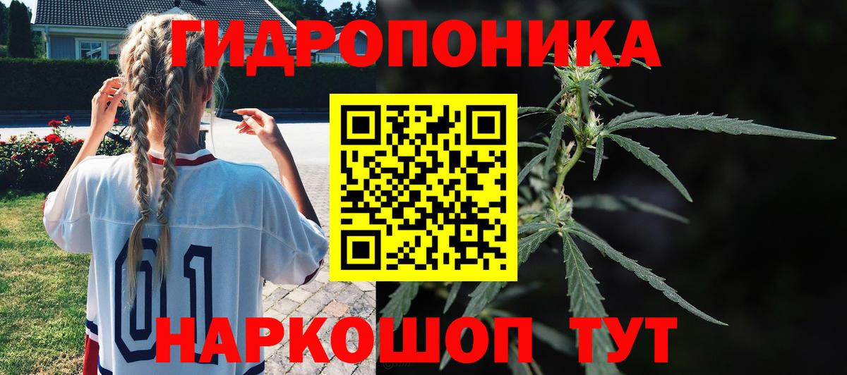 Бошки Шишки ГИДРОПОН Кизляр
